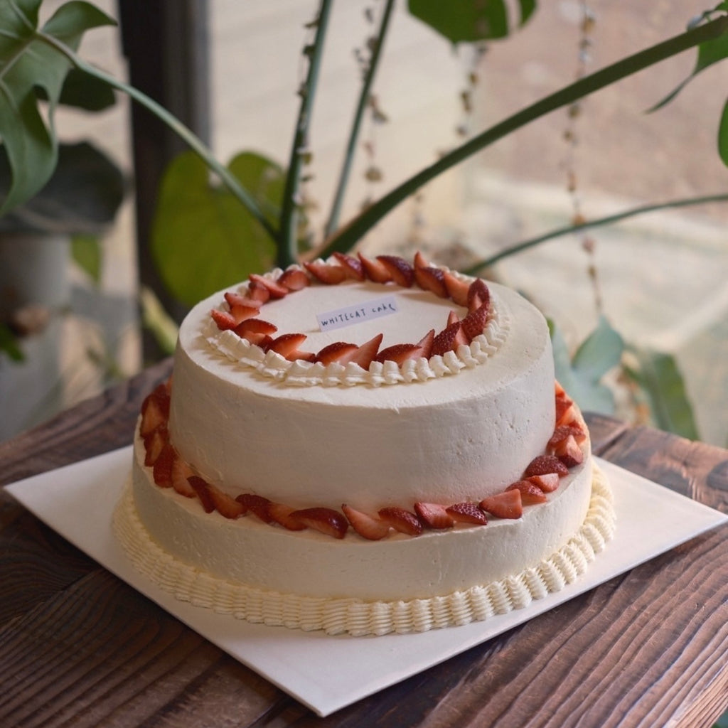 白貓雙層蛋糕
