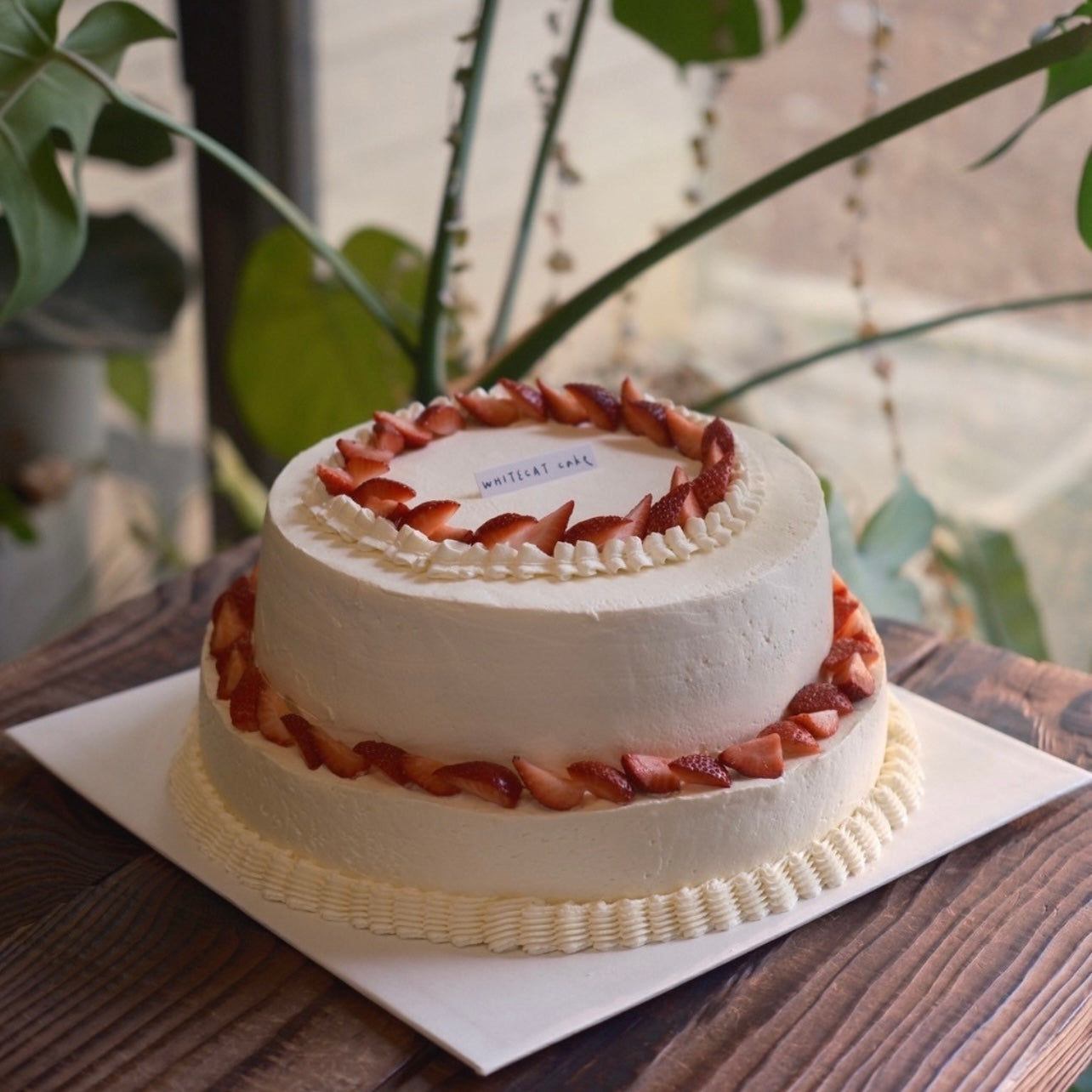 白貓雙層蛋糕