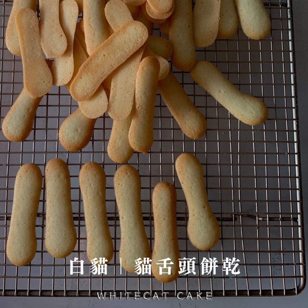 白貓活動小點心