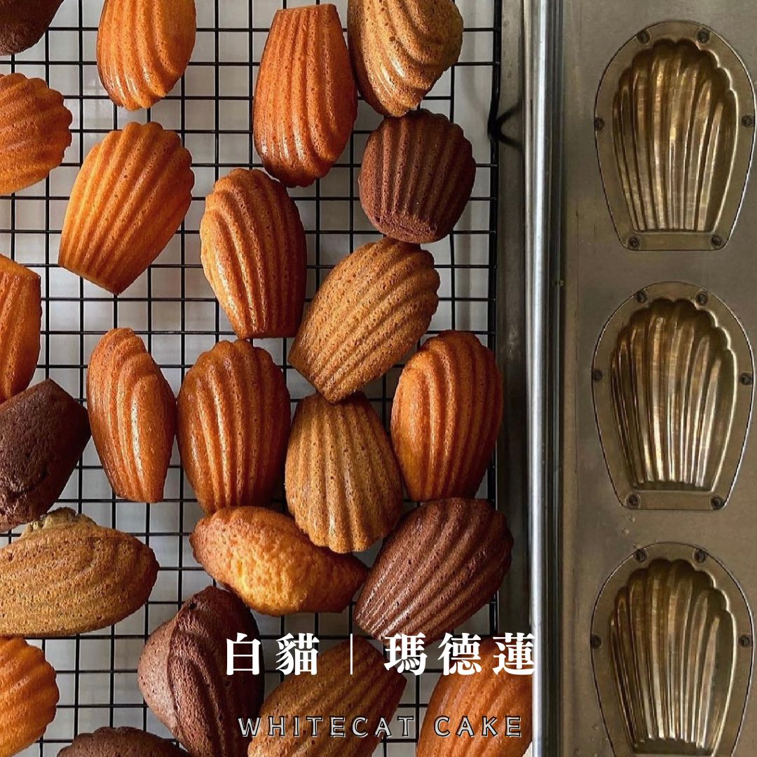 白貓活動小點心