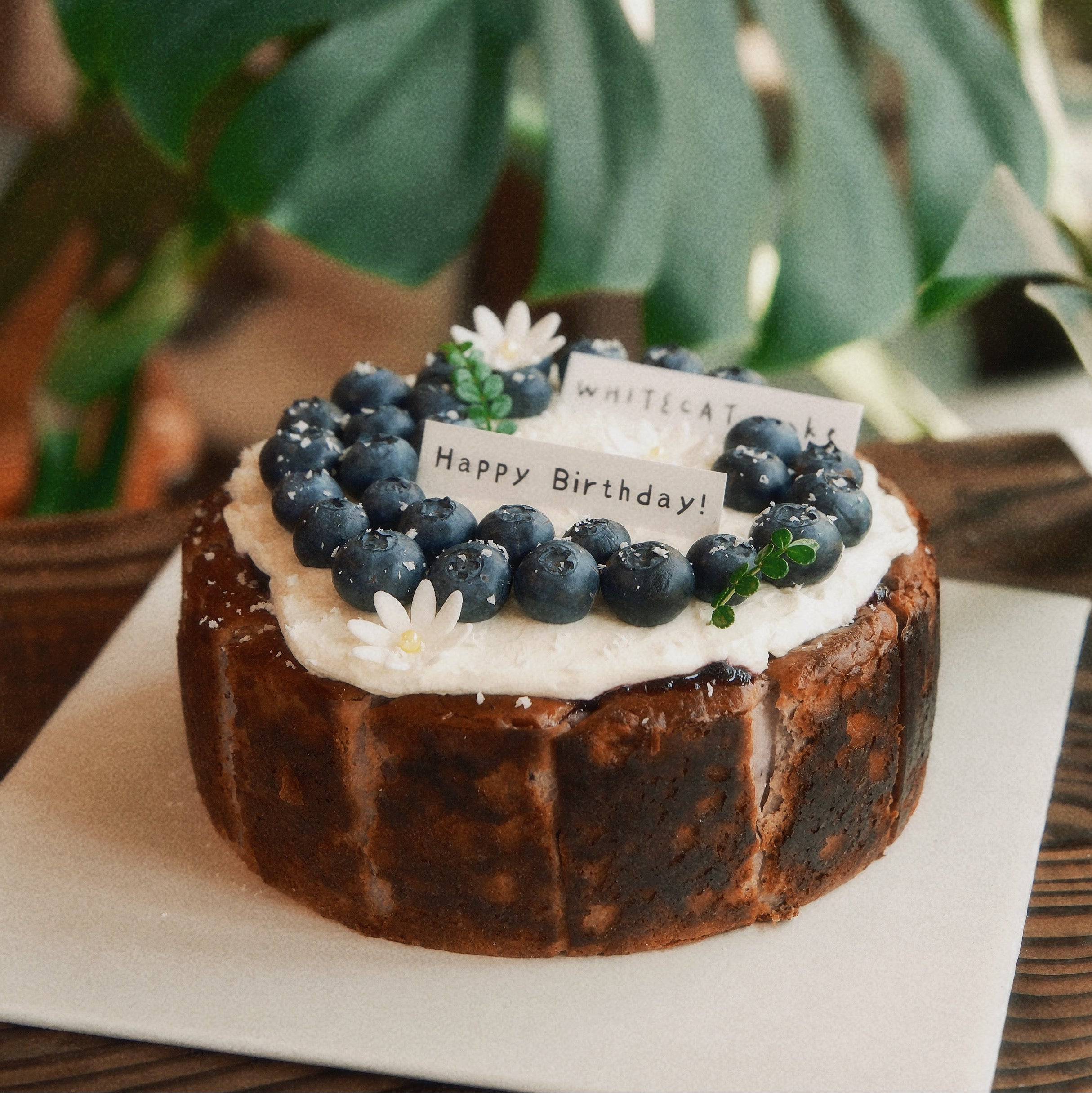 藍莓巴斯克乳酪